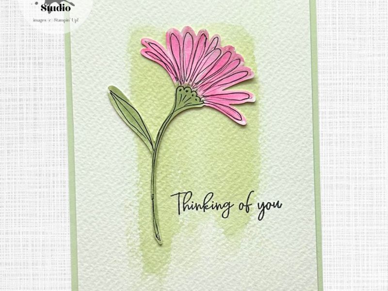 Friendly Foliage – Covered in&nbsp;Flowers