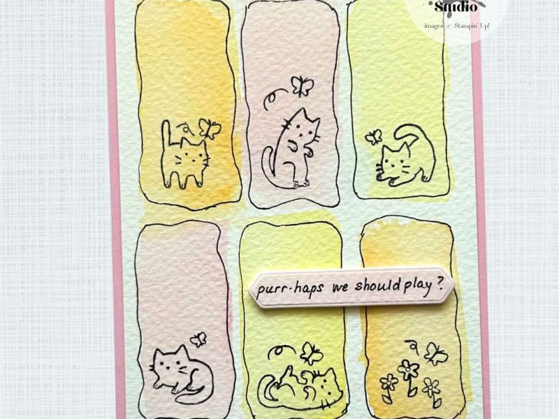 Purr-haps – Cutest&nbsp;Crew