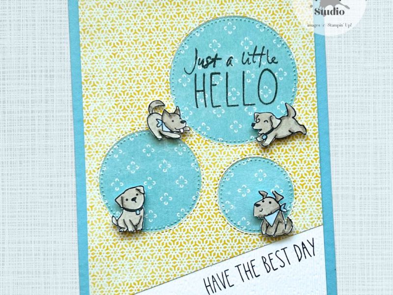 Cutest Crew – Birthday&nbsp;Hello