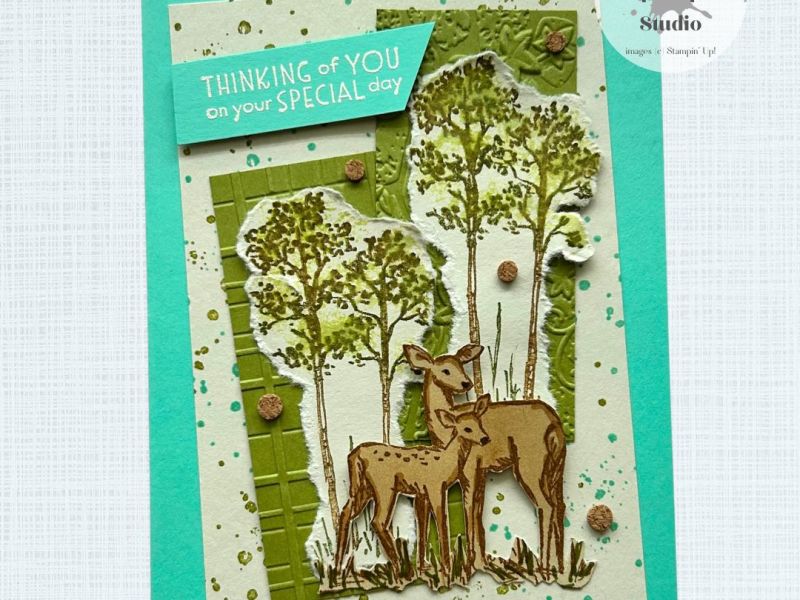 In The Meadow – Special&nbsp;Day