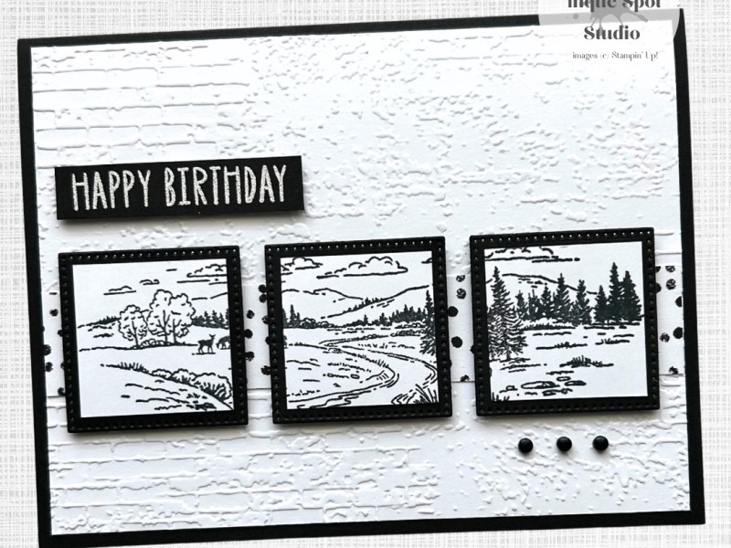 Picture Perfect Birthday